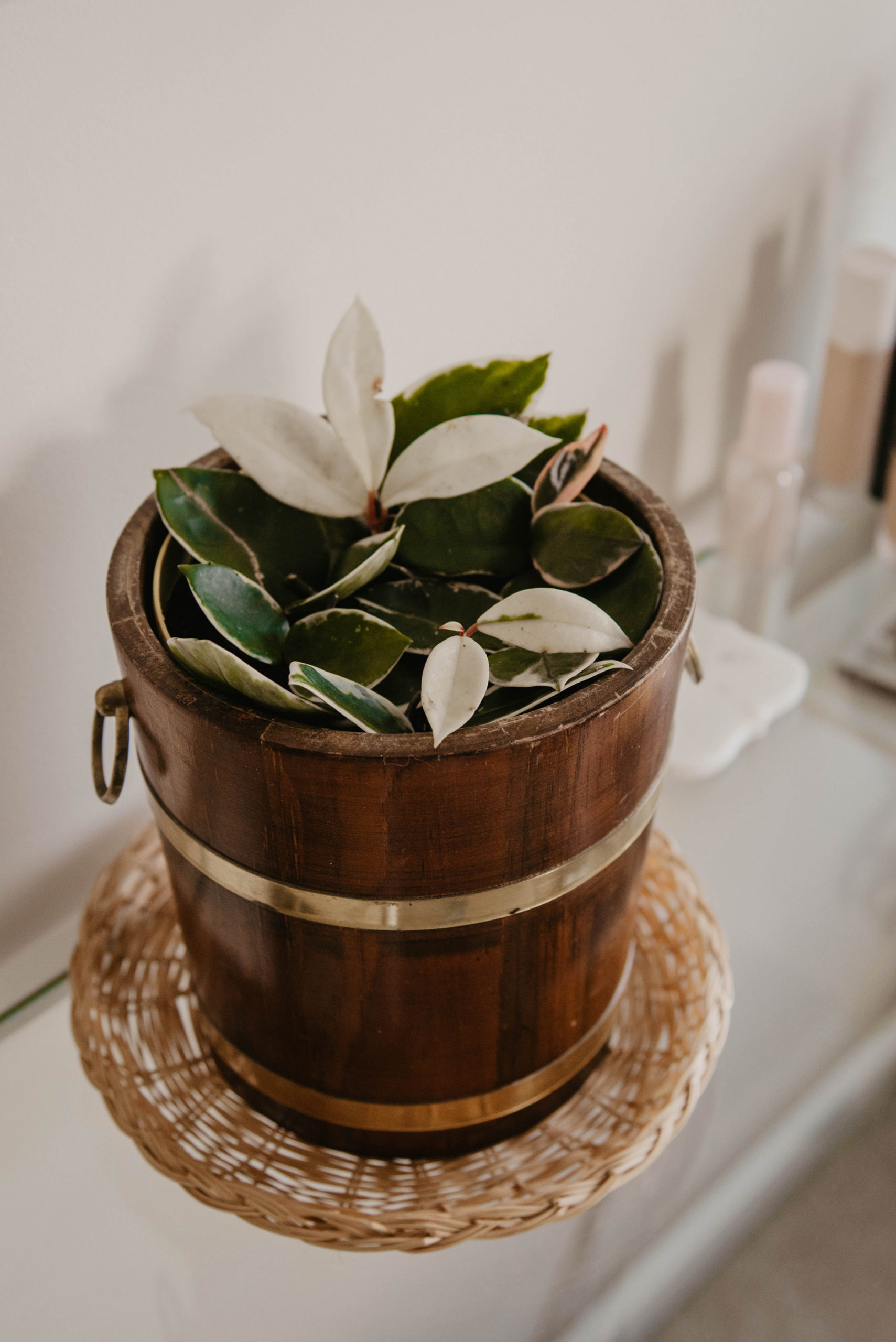 Ice Bucket Planters Diy Thrift Flip Blue Augustine